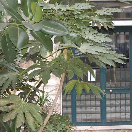 San Paolo *